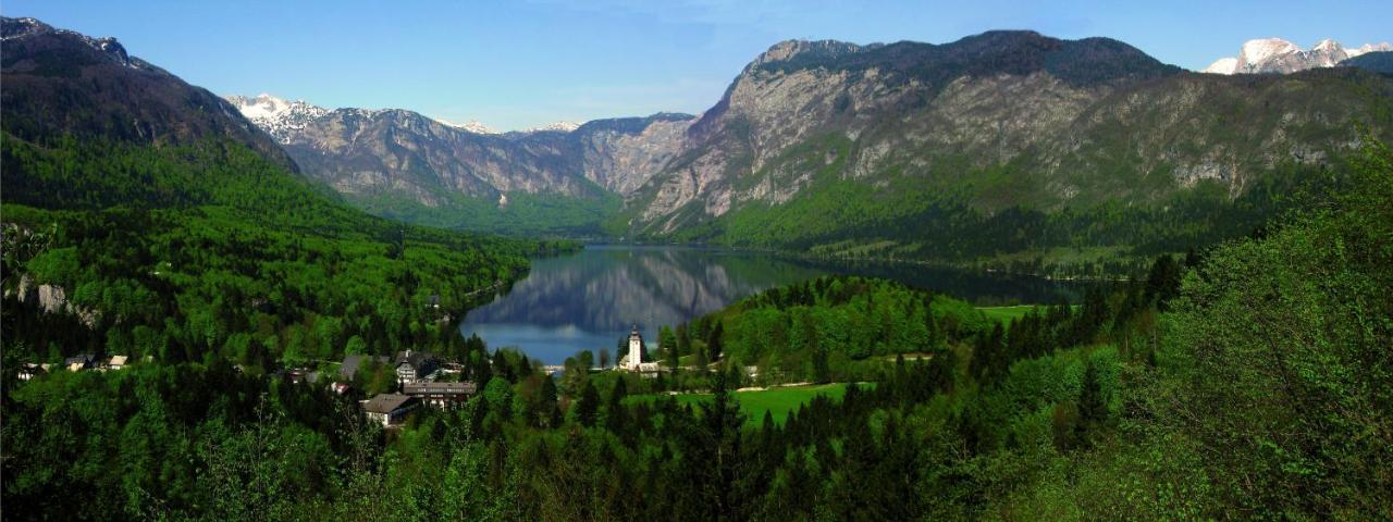 Apartments Znidar Bohinj Extérieur photo